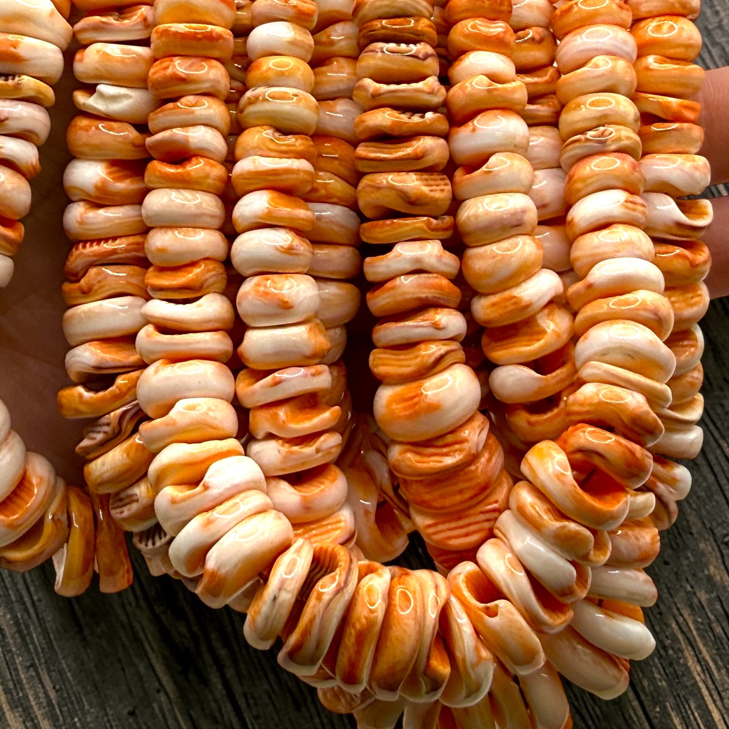 Lion's Paw Shell Beads