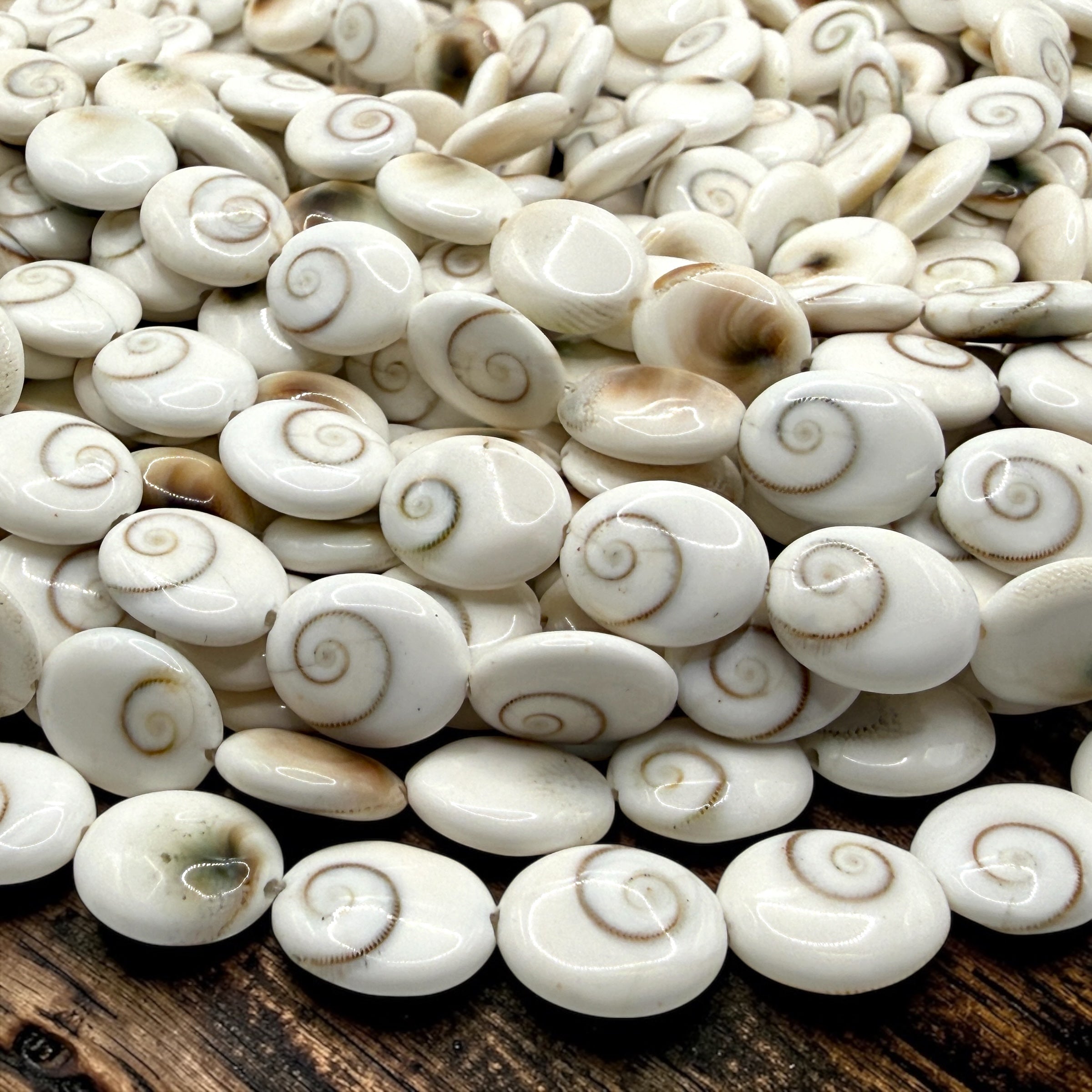 Shiva Eye Shell Beads