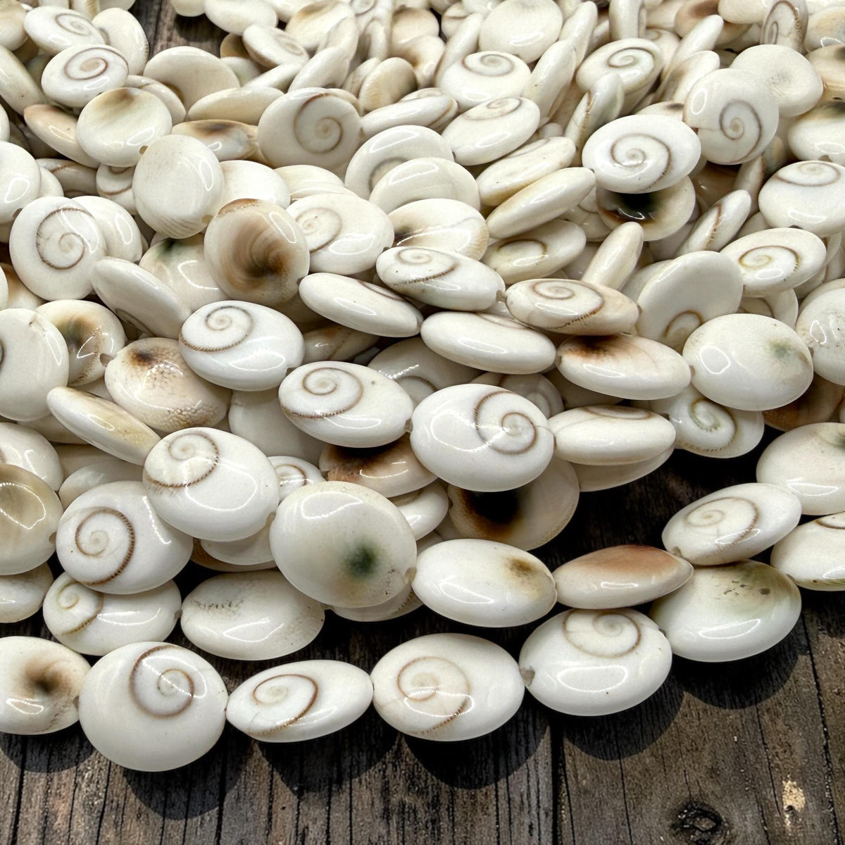 Hypnotic Shiva Eye Shell Beads - Striking Natural Spiral Eyes - Single-Sided Smooth Oval 10X12mm SKU#B304