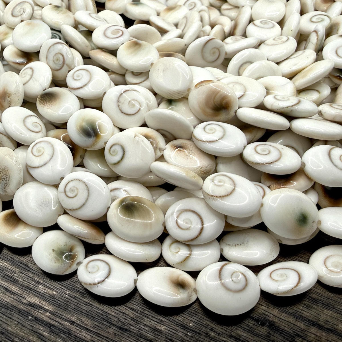 Hypnotic Shiva Eye Shell Beads - Striking Natural Spiral Eyes - Single-Sided Smooth Oval 10X12mm SKU#B304