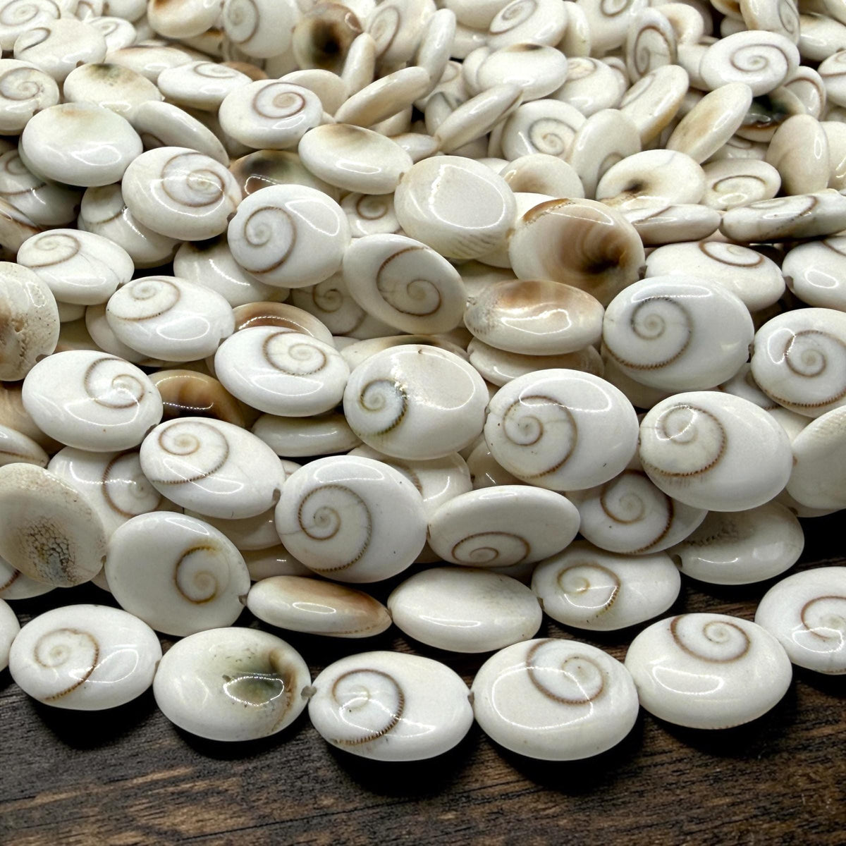 Hypnotic Shiva Eye Shell Beads - Striking Natural Spiral Eyes - Single-Sided Smooth Oval 10X12mm SKU#B304