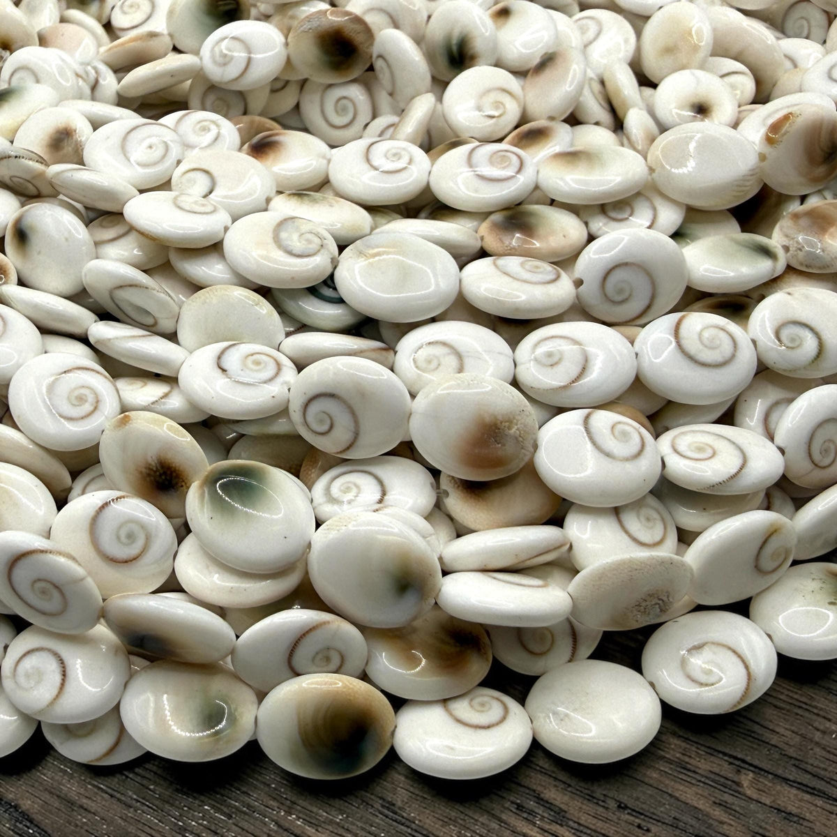 Hypnotic Shiva Eye Shell Beads - Striking Natural Spiral Eyes - Single-Sided Smooth Oval 10X12mm SKU#B304