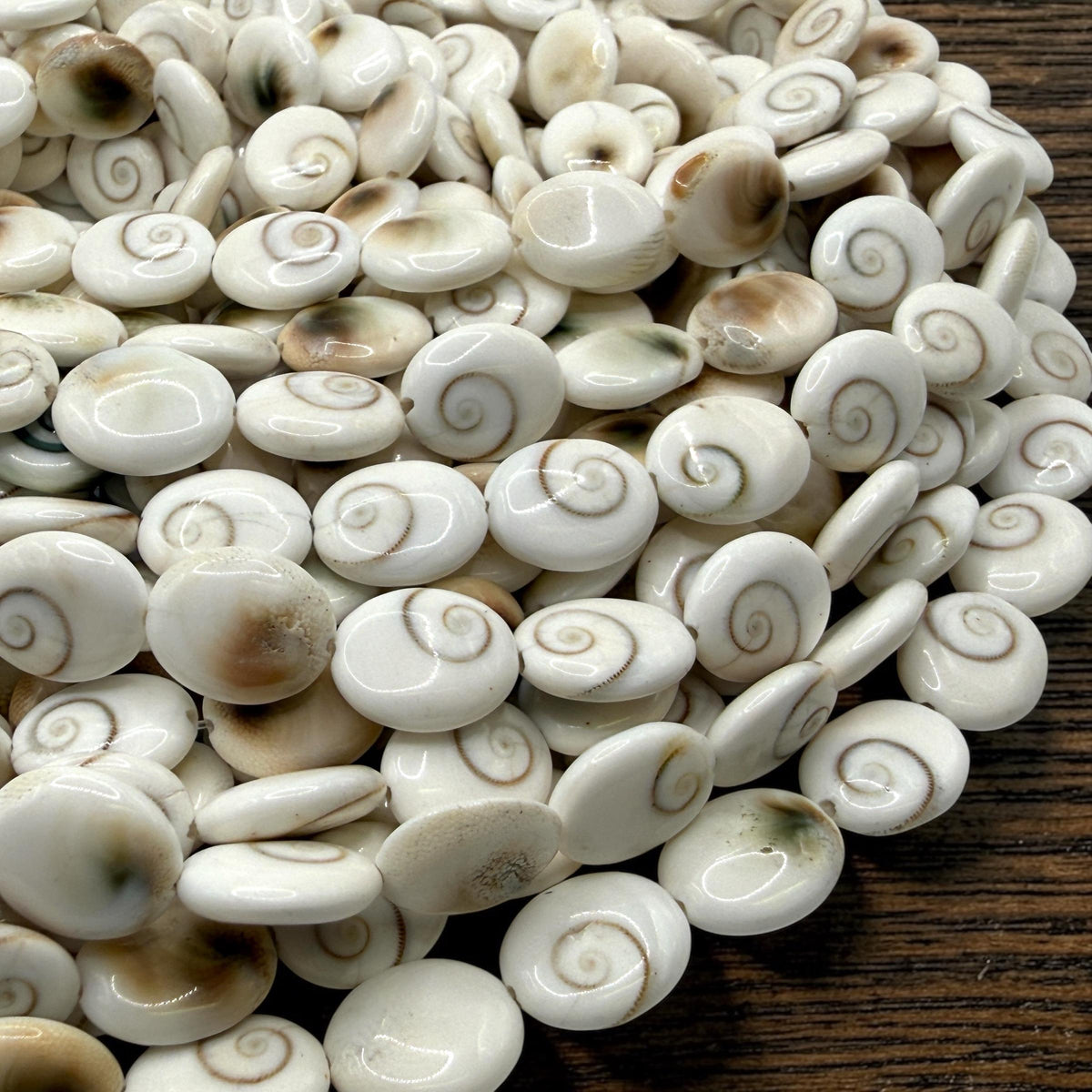 Hypnotic Shiva Eye Shell Beads - Striking Natural Spiral Eyes - Single-Sided Smooth Oval 10X12mm SKU#B304
