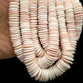 Graduated Bahamas Queen Conch Shell Beads (Cut From Iconic Soft Pink Interior) Men's Jewelry Making Supply 8-15mm SKU-B-104