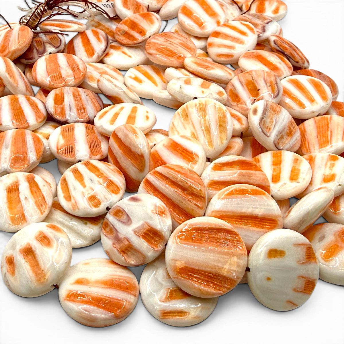 Caribbean Lion's Paw Scallop Shell Beads (Raised Ribs Like Powerful Paw of a Lion) Coin 25mm SKU#B206