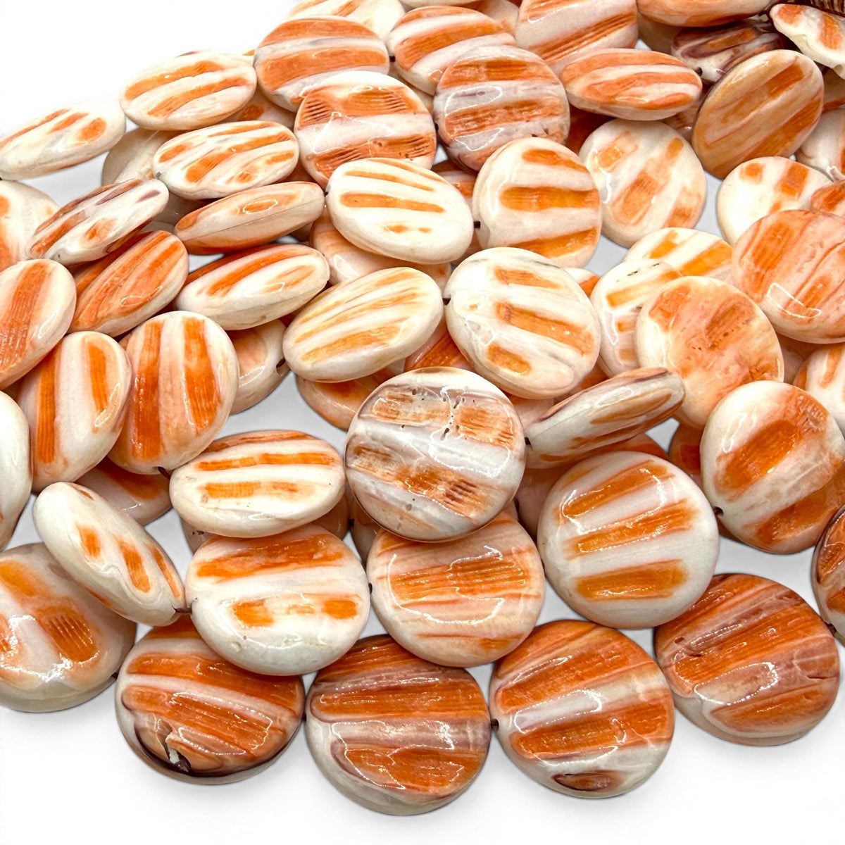 Caribbean Lion's Paw Scallop Shell Beads (Raised Ribs Like Powerful Paw of a Lion) Coin 25mm SKU#B206