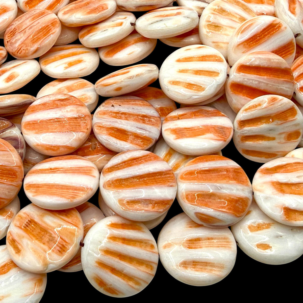 Caribbean Lion's Paw Scallop Shell Beads (Raised Ribs Like Powerful Paw of a Lion) Coin 25mm SKU#B206