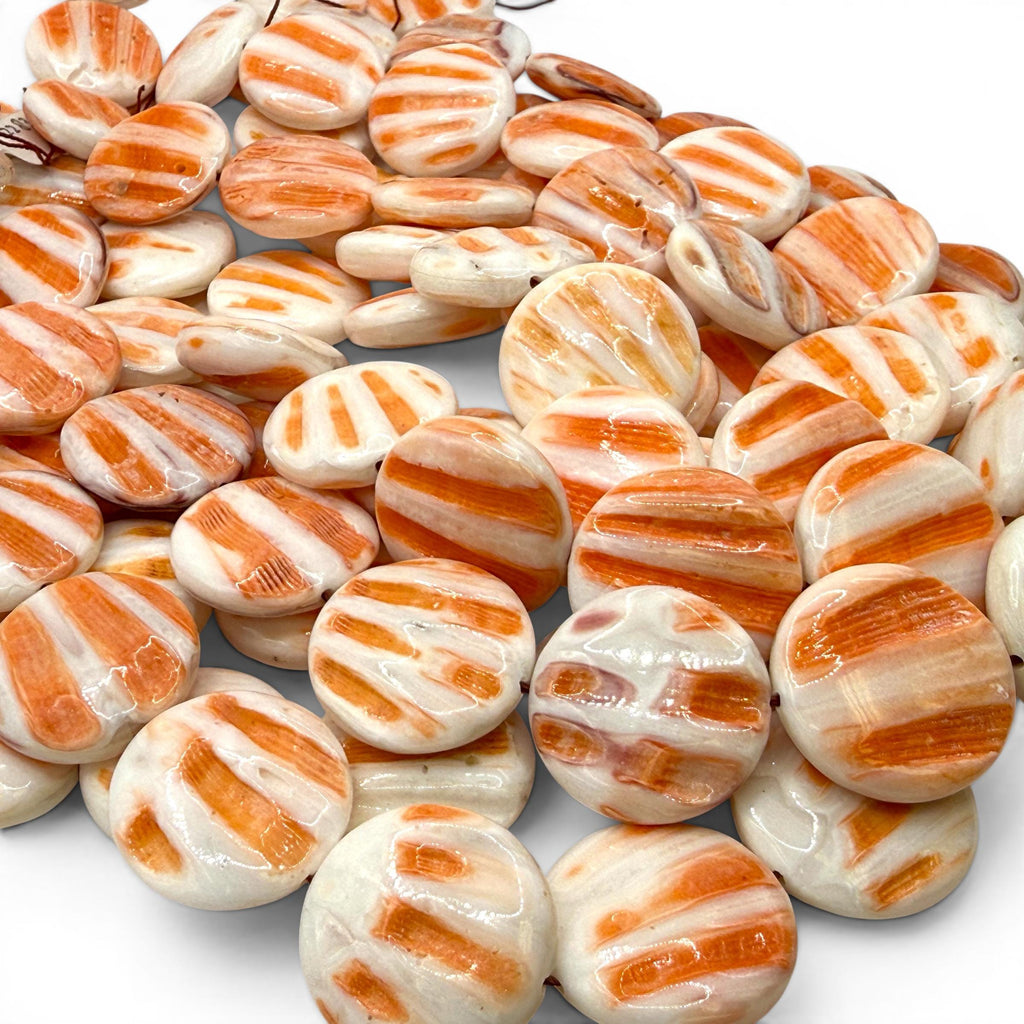 Caribbean Lion's Paw Scallop Shell Beads (Raised Ribs Like Powerful Paw of a Lion) Coin 25mm SKU#B206